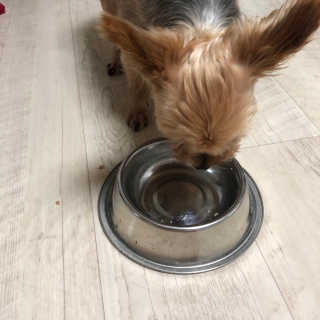 밤비님이 올린 리뷰 사진 3