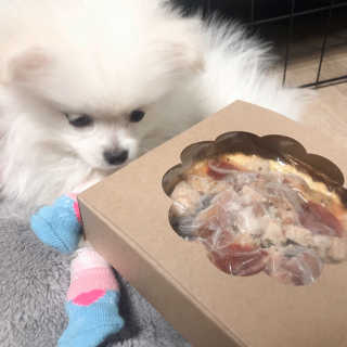 jisun3392님이 올린 리뷰 사진 1