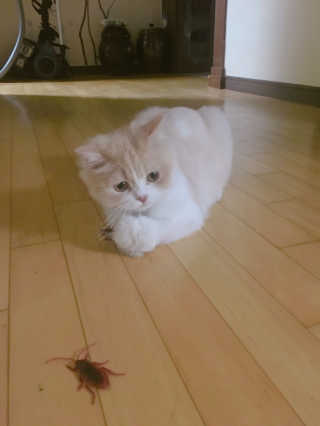 HyunjooKang님이 올린 리뷰 사진 1