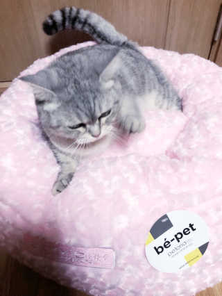 jinvely님이 올린 리뷰 사진 3