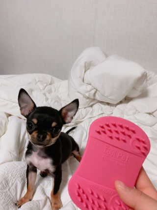 동글눈썹뚜두비님이 올린 리뷰 사진 1