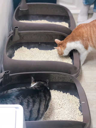 Nany님이 올린 리뷰 사진 3