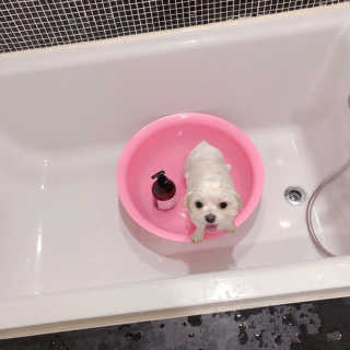 콩순이엄마님이 올린 리뷰 사진 2