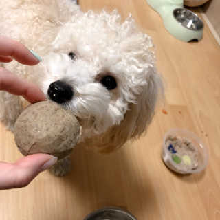 가을어멈님이 올린 리뷰 사진 2