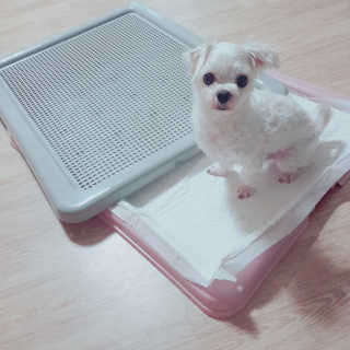 LeeGoEun님이 올린 리뷰 사진 1