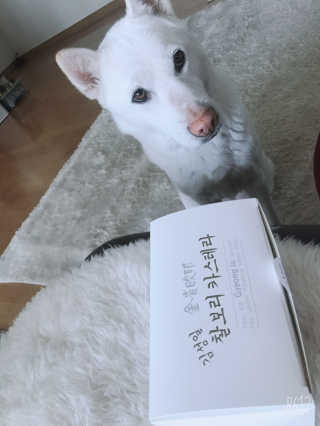 스쿰비님이 올린 리뷰 사진 3