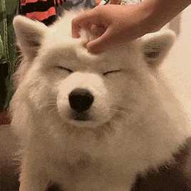 MyungJoonJang님이 올린 리뷰 사진 2