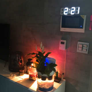에어톡스 아쿠아팟 식물형 공기정화기 — 1점을 준 리뷰어가 2018년 6월 올린 사용 사진