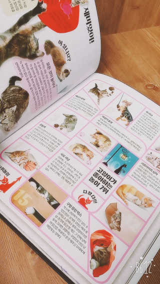DaYeongGwon님이 올린 리뷰 사진 2