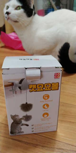 gavina님이 올린 리뷰 사진 1
