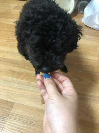 콩자엄마님이 올린 리뷰 사진 4