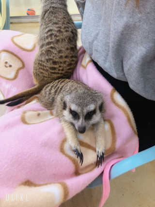 berryjjung님이 올린 리뷰 사진 3