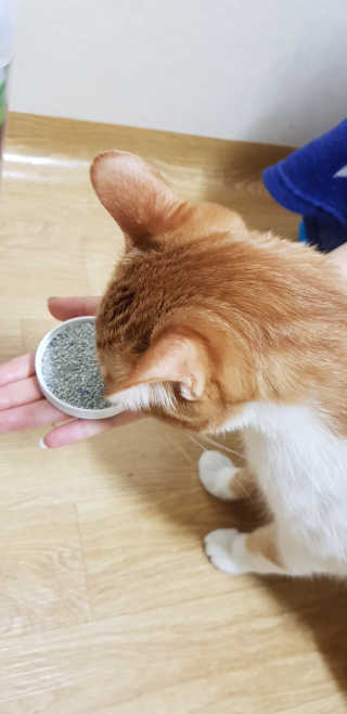 이용재님이 올린 리뷰 사진 2