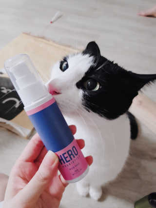 홍시님이 올린 리뷰 사진 2