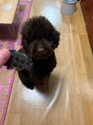 옌짱님이 올린 리뷰 사진 2