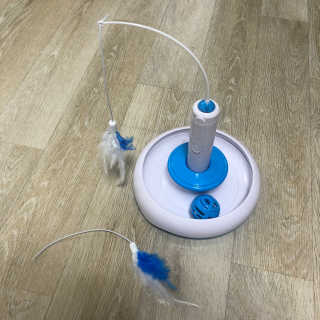 김노롸님이 올린 리뷰 사진 2