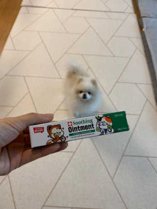 리디아은서님이 올린 리뷰 사진 3
