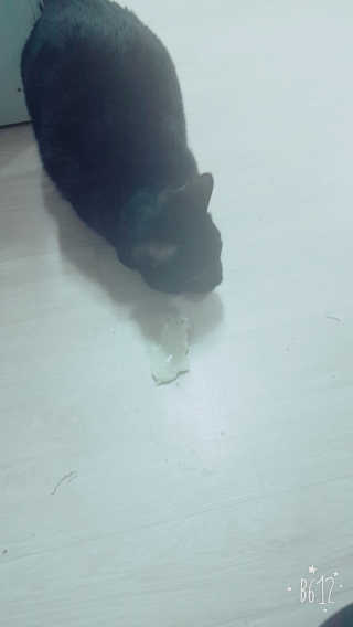 noname님이 올린 리뷰 사진 2
