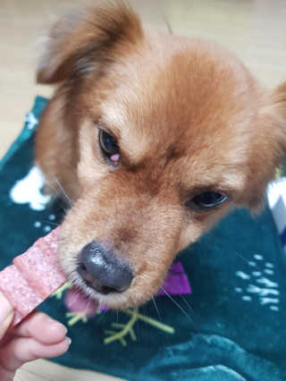 미미네님이 올린 리뷰 사진 4