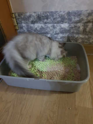 민댕댕이님이 올린 리뷰 사진 1