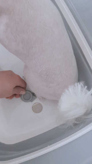 ysssu님이 올린 리뷰 사진 2