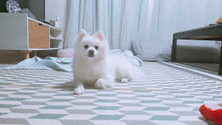 연보라님이 올린 리뷰 사진 1