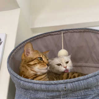 뚝쁘님이 올린 리뷰 사진 2