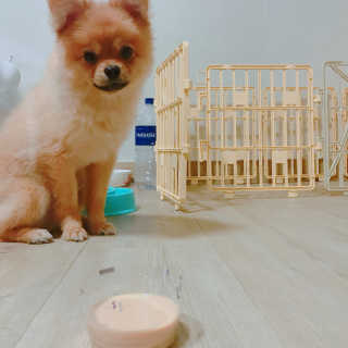 aevely님이 올린 리뷰 사진 3
