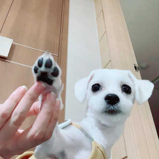이유맘님이 올린 리뷰 사진 2