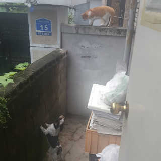 가횽님이 올린 리뷰 사진 4