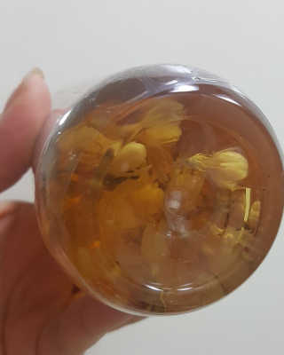 호호세오님이 올린 리뷰 사진 2