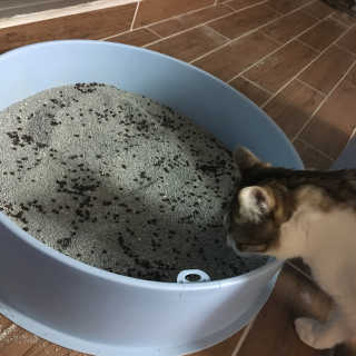 da0님이 올린 리뷰 사진 4