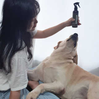 리아님이 올린 리뷰 사진 2