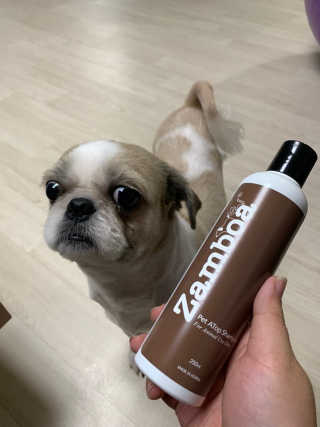 다니도니맘님이 올린 리뷰 사진 2