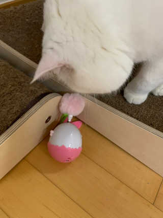 서연님이 올린 리뷰 사진 3