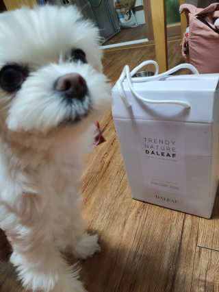 뽀오오옹님이 올린 리뷰 사진 1