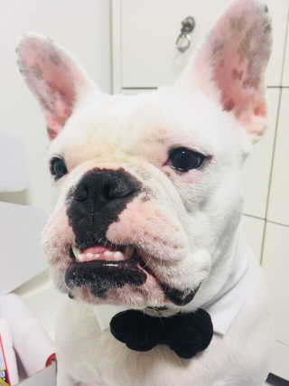 지아이님이 올린 리뷰 사진 4