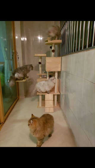 박오뎅님이 올린 리뷰 사진 4