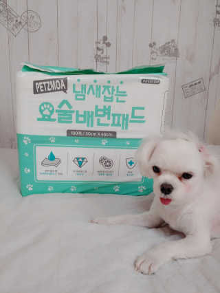 페츠모아 냄새잡는 요술배변패드 — 5점을 준 리뷰어가 2020년 3월 올린 사용 사진