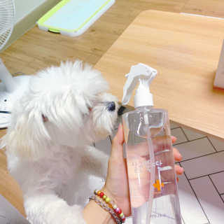 [펫토리아]살균뚝딱 강아지 고양이 살균소독제 탈취제 — 5점을 준 리뷰어가 2019년 10월 올린 사용 사진