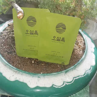 Memoy님이 올린 리뷰 사진 2