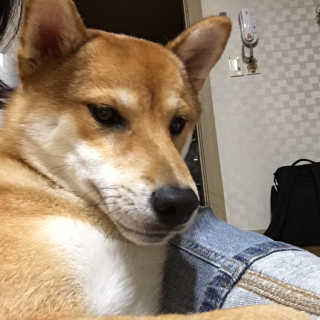 yul님이 올린 리뷰 사진 3