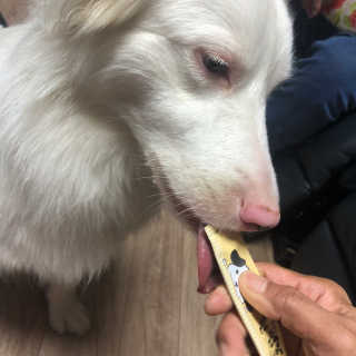 나경뿌님이 올린 리뷰 사진 3