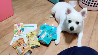 진진님이 올린 리뷰 사진 4