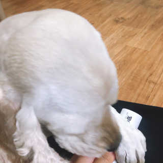 taeni님이 올린 리뷰 사진 2