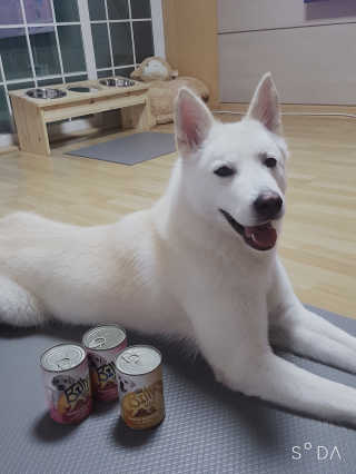 딸랑구둘🥰님이 올린 리뷰 사진 1