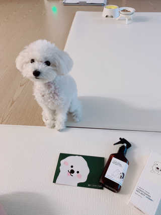 Ella님이 올린 리뷰 사진 2