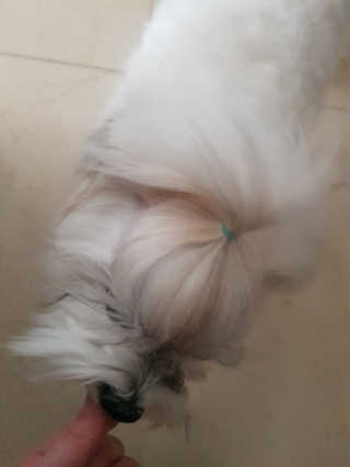 loveskyboom님이 올린 리뷰 사진 3