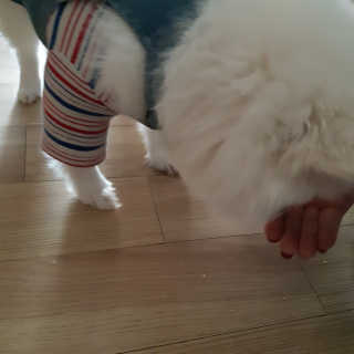 심준호님이 올린 리뷰 사진 4