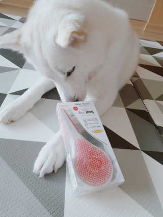 딸랑구둘🥰님이 올린 리뷰 사진 2